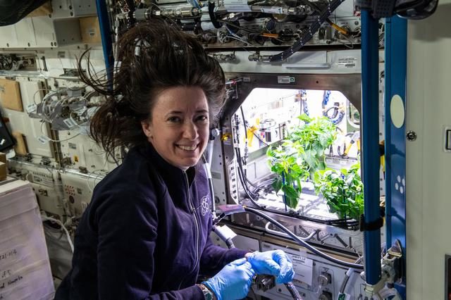 Megan McArthur NASA